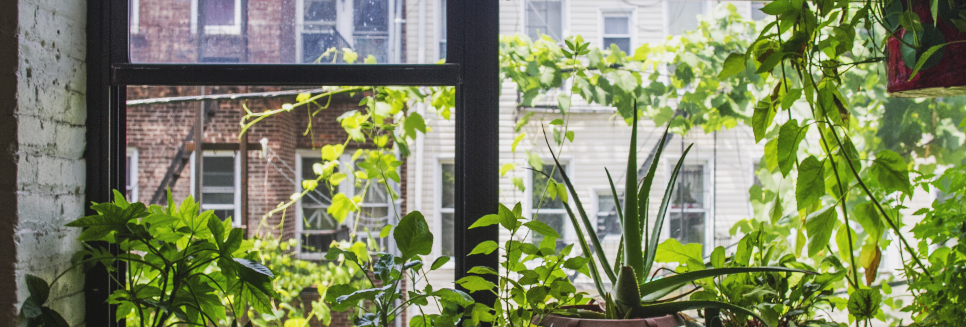 Nyc Ny Ny Homes 002 1920X650