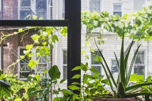 Nyc Ny Ny Homes 002 1920X650